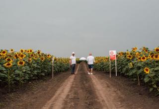 DSC_6888_res1_res1