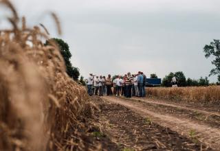 DSC_6805_res1_res1