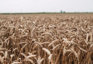DSC_6903_res1_res1