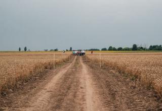 DSC_6798_res1_res1